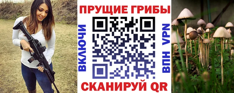Псилоцибиновые грибы GOLDEN TEACHER  Купить  Рубцовск 